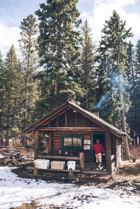 Camping Illustration, Fire Lookout, Forest Lodge, Little Cabin In The Woods, Cabin Aesthetic, Lookout Tower, Forest Cabin, Willow Creek, Little Cabin