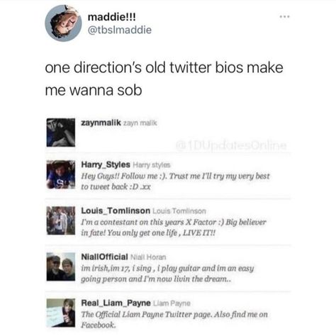 One Direction Private Story Names, One Direction Bio For Instagram, Cute Twitter Bios, One Direction Bio Ideas, One Direction Username Ideas, Bios For Twitter, Best Twitter Bios, Insta Bios, Header Ideas