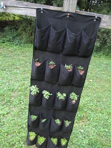 Vertical Wall Planters: Repurposing Shoe Organizer Planter Ideas - Unique Balcony & Garden Decoration and Easy DIY Ideas Vertical Garden Systems, Vertikal Garden, Shoe Organiser, Vertical Wall Planters, Door Shoe Organizer, Vertical Garden Diy, Vertical Gardening, Grow Bags, Old Shoes