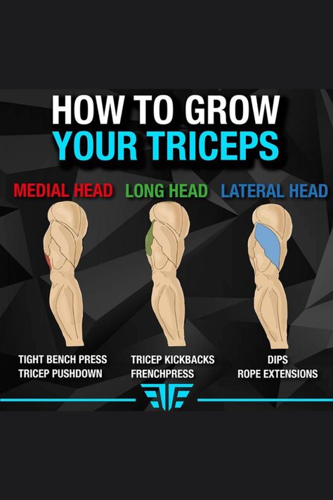 If you’re trying to build big arms you should focus more on tricep because tricep is the biggest muscle in your arm. These exercises will help you to develop your triceps and big arms. Tricep Long Head Workout, Upper Body Weight Workout, Bret Contreras, Fighter Workout, Tricep Workout, Workout Gym Routine, Big Arms, Military Workout, Work Out Routines Gym