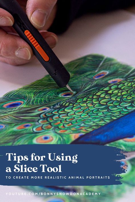 A photo of a realistic coloured pencil drawing of a peacock and text reading: "Tips for using a slice tool to create more realistic animal portraits". Realistic Animal Drawings, Slice Tool, Colored Pencil Portrait, Colored Pencil Tutorial, Animal Portraits, Drawing For Beginners, Coloured Pencils, Color Pencil Art, Pencil Portrait