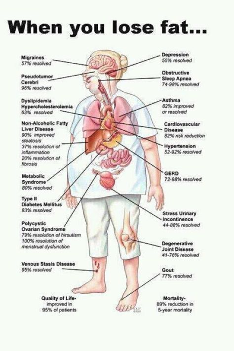 When you lose fat... Makanan Diet, Diet Keto, The Human Body, Health Info, Reduce Weight, Get In Shape, Fitness Diet, Healthy Weight, Get Healthy