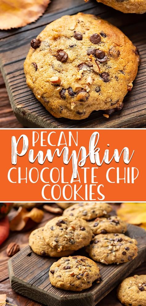 These Pecan Pumpkin Chocolate Chip Cookies are soft, cakey fall versions of everyone's favorite cookie, packed with pumpkin & spice flavors! You won't be able to stop at one! Pumpkin Walnut Chocolate Chip Cookies, Pumpkin Pecan Chocolate Chip Cookies, Pumpkin Pecan Cookie Recipes, Crispy Pumpkin Cookies, Pumpkin Pecan Cookies, Pumpkin Spice Cookies Easy, Pumpkin Cookies Chocolate Chip, Easy Pumpkin Chocolate Chip Cookies, Pumpkin Chocolate Chip Cookies Easy