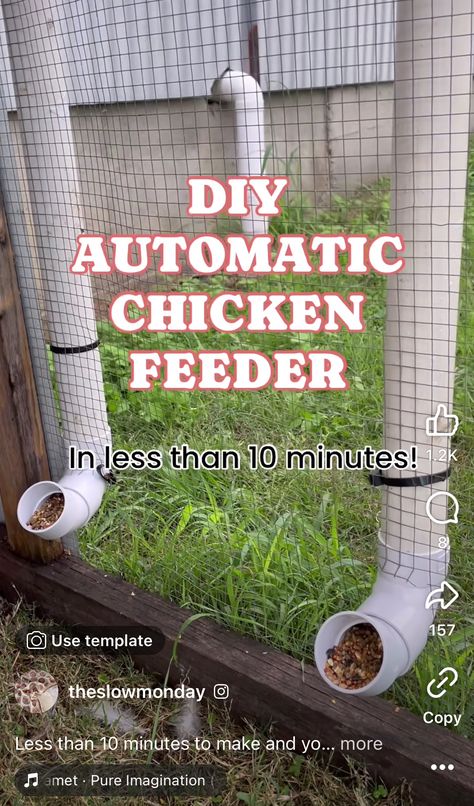 Diy Automatic Chicken Feeder, Dirty Chicken, Chicken Waterer Diy, Organic Chicken Feed, Raising Meat Chickens, Chicken Water Feeder, Chicken Feeder Diy, Chicken Roost, Small Chicken Coops