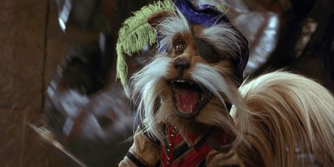 Fire Gang Labyrinth, Labyrinth Sir Didymus, Sir Didymus, Laura Knight, Jim Henson Labyrinth, Labyrinth 1986, Labyrinth Movie, Angry Animals, Movie Facts