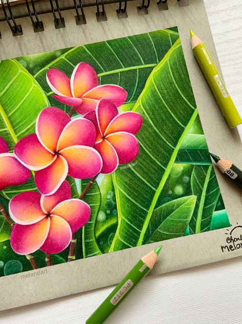 New finished coloured pencil drawing over on Instagram! I used Prismacolor pencils and Strathmore 400 series toned grey paper to create this artwork. :) Colorful Colored Pencil Art, Pencil Color Drawing Creative, Colored Pencil Artwork Easy, Colourful Drawing Ideas, Drawing And Painting Ideas, Drawings With Color, Pencil Color Drawing, Pencil Colour Drawing, Pencil Flowers