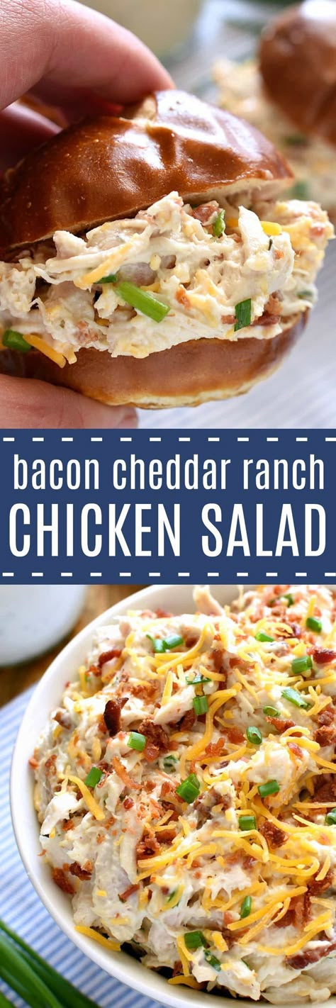 This Bacon Cheddar Ranch Chicken Salad is packed with all the BEST flavors! Chicken, bacon, cheddar, cheese, and ranch dressing come together in the most delicious way in this chicken salad that's guaranteed to become a favorite! Chicken Bacon Cheddar, Ranch Chicken Salad Recipe, Cheddar Ranch Chicken, Ranch Chicken Salad, Resep Salad, Chicken Salad Sandwich, Bacon Ranch, Ranch Chicken, Bacon Cheddar