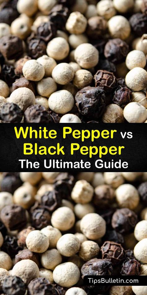 Learn the difference between black and white pepper (Piper nigrum) and how to use them in recipes. White pepper is a good seasoning for white sauces, while high-quality black peppercorns have more flavor and are great for flavoring meats. #differences #whitepepper #blackpepper White Pepper Recipes, White Sauces, Black Pepper Plant, Piper Nigrum, Papaya Seeds, Vegetable Benefits, Homemade Condiments, Sour Soup, Carbonara Pasta