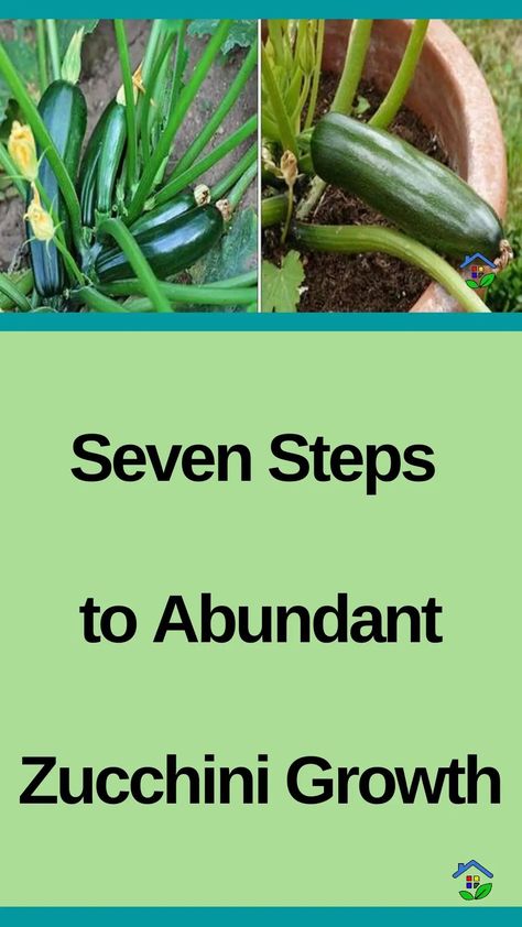 Embark on a promising journey of growing zucchini and feel the joy of cultivating your garden and the satisfaction of consuming homegrown produce. Below is a comprehensive guide to cultivating vibrant zucchini plants that yield abundant harvests. This guide takes you through each crucial stage of the process, from selecting the finest seeds to nurturing […] Growing Zucchini, Zucchini Plants, Veggie Garden, Summer Garden, Horticulture, Delicious Recipes, Zucchini, Garden Ideas, Succulent