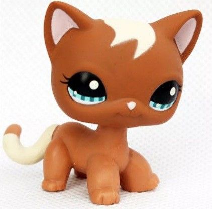 Fox Academy, Short Hair Kitten, Cat Pet Shop, Cat Grey, Littlest Pet Shop Toys, Lps Accessories, Lps Cats, Lps Customs, Mini Stand