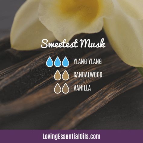 Sandalwood Diffuser Blends - Create A Peaceful Space Sandalwood Diffuser Blends, Essential Oil Perfumes Recipes, Peaceful Space, Essential Oil Combinations, Essential Oil Diffuser Blends Recipes, Perfume Recipes, Sandalwood Essential Oil, Oil Diffuser Recipes, Essential Oil Diffuser Recipes