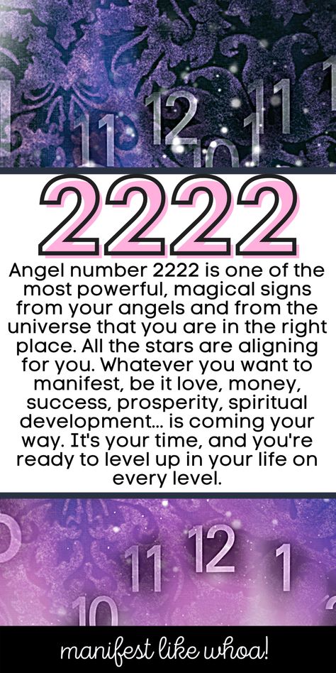 Keep seeing angel number 2222 everywhere and want to know what it means for your manifestations? The law of attraction works and the angels have hidden messages for you to follow if you use them! Here's all about angel number numerology 2222 and what it means for "the secret" law of attraction manifestations for love, happiness, success. You can even see what numerology 2222 means to get your ex back! Angel Number Meaning, Spiritual Awakening Signs, Numerology Life Path, Angel Number Meanings, Hidden Messages, Number Meanings, Angel Messages, Prayer Verses, Manifestation Law Of Attraction