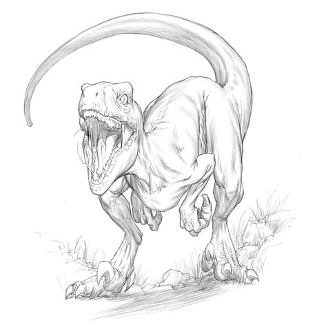 Tyrannosaurus Rex Sketch, Trex Dinosaur Sketch, Animal Drawing Poses, Dinosaur Tattoo Raptor, Dinosaur Drawing References, Dinosaurs Reference, Raptor Dinosaur Tattoo, Indoraptor Drawing, Tyrannosaurus Rex Drawing