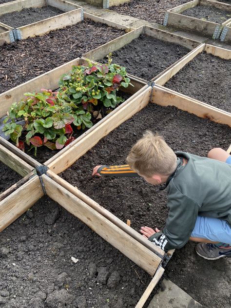 Allotment Ideas Inspiration, Allotment Inspiration, Allotment Ideas, Planting Vegetables, Planting, The Garden, Plants