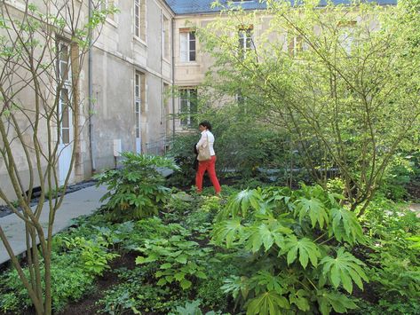 Le Jardin Clair-Obscur by Wagon-landscaping — Landscape Architecture Platform | Landezine Wagon Landscaping, Urban Landscape Architecture, Landscape Design Architecture, House Garden Landscape, Architecture Courtyard, Architecture Garden, Garden Border, Easy Landscaping, Landscape Architecture Design