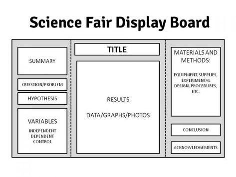 display board Science Fair Display Board, Science Fair Board, Science Fair Projects Boards, Reading Fair, Cool Science Fair Projects, Science Fair Project, Science Reading, Fair Display, Science Quotes