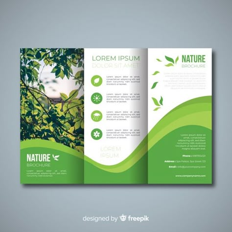 Trifold nature flyer with image | Free Vector #Freepik #freevector #brochure Trifold Brochure Ideas, Brochure Sample, Leaflet Template, Brochure Design Layouts, Brochure Cover Design, Brochure Design Creative, Brochure Design Layout, Poster Design Layout, Trifold Brochure Design