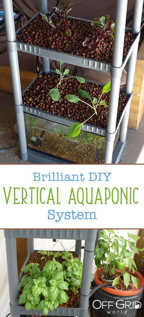 A brilliant DIY vertical aquaponic system Aquaponic System, Aquaponics Diy, Hydroponic Farming, Greenhouse Garden, Vertical Vegetable Garden, Aquaponic Gardening, Vertical Herb Garden, Wallpaper Retro, Aquaponics System