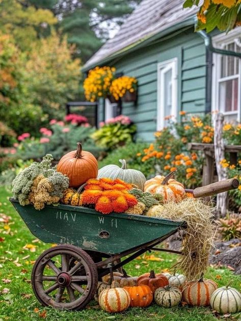 Garden Shed Fall Decor, Fall Outdoor Display Ideas, Outdoor Fall Display, Autumn Garden Decoration, Fall Backyard Decor, Pumpkin Displays Outside, Fall Outdoor Decor Yard, Cozy Farm Home, Outdoor Pumpkin Display