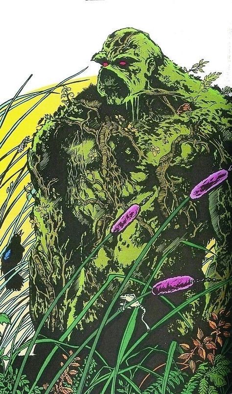 TV Review: Swamp Thing  #DCUniverse #DCComics #SwampThing #Superheroes #Comics #ComicBook #ComicBookMovie #TV #Television #TVReview Swamp Thing, Justice League Dark, Scary Stuff, Arte Dc Comics, Dc Comics Artwork, Comic Drawing, Comic Collection, Dc Heroes, Dc Comics Art