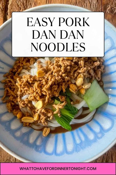 Easy Pork Dan Dan Noodles Dan Dan Noodles Recipe, Dan Dan Noodles, Mushroom Stroganoff, Recipe Icon, Stroganoff Recipe, Chinese Cabbage, Easy Pork, Cooking For One, Spicy Sauce