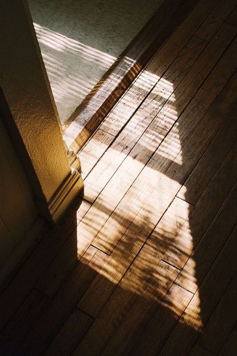 背景 シンプル, Luz Natural, Morning Light, The Shadow, Slow Living, On The Floor, Narnia, 그림 그리기, The Floor