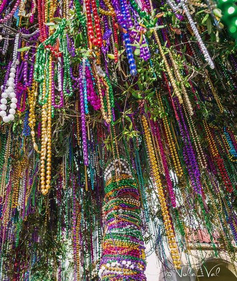 Mardi Gras Tree, Elaborate Costumes, Bead Trees, Louisiana Bayou, Sweet 16 Themes, Mardi Gra, Visit New Orleans, New Orleans Mardi Gras, Ash Wednesday