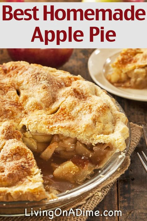 Best Easy Apple Pie Recipe, Best Homemade Apple Pie, Homemade Apple Pie Recipe, Homemade Pie Recipes, Apple Pie Recipe Homemade, Apple Pie Recipe Easy, Homemade Pie Crust Recipe, Homemade Apple Pie, Best Apple Pie