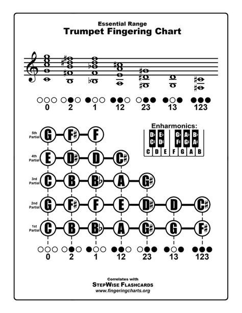 This free Trumpet fingering chart, along with the flashcards, can help trumpet students learn their notes and fingerings. Trumpet Fingering Chart, Trumpet Jazz, Tenor Saxophone Sheet Music, Alto Saxophone Sheet Music, Play Trumpet, Middle School Band, Trumpet Instrument, Trumpet Sheet Music, Band Room