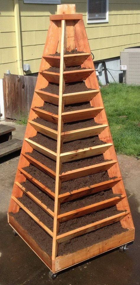 If space is an issue, consider a vertical garden pyramid tower. Complete how-to from RemoveandReplace.com here. Garden Pyramid, Tower Garden Diy, Pyramid Planter, Vertical Garden Planters, Vertical Vegetable Garden, Simple Garden, Tee Pee, نباتات منزلية, Vertical Herb Garden