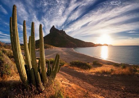 San Carlos Bay, Sea of Cortez, Sonora State, Mexico Roadtrip America, Couple Lifestyle, Arizona Landscape, Famous Pictures, San Nicolas, America Latina, Sonoran Desert, Lifestyle Travel, Cabo San Lucas