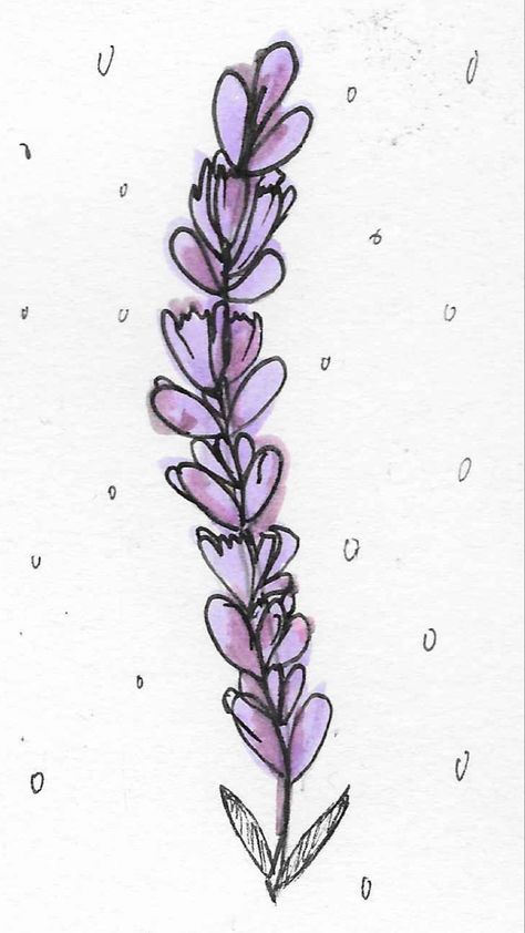 Simple 1 stem Lavender Drawing, Lavender, Drawings