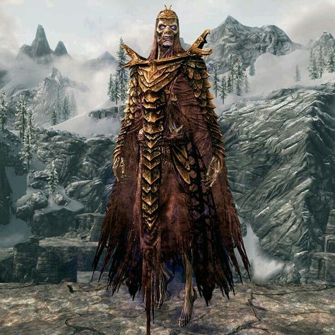 Dragon priest Skyrim Dragon Armor, Priestess Outfit, Dragon Priestess, Skyrim Dragon Priest, Tes Skyrim, Dragon Priest, Priest Outfit, Beast Design, Skyrim Dragon