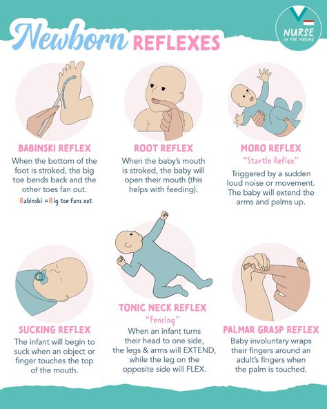 Newborn reflexes are involuntary... - Nurse In The Making | Facebook Antepartum Nursing, Maternal Nursing, Maternal Nursing Study, Neonatal Nurse Notes, Pediatrics Nursing Notes, Newborn Care Tips, Nicu Nurse Tips, Postpartum Nursing Notes, Reflexes Of Newborn