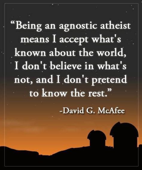 Too many people pretending Agnostic Quotes, Atheism Humor, Science Vs Religion, Famous Atheists, Atheist Quotes, Faith Church, Losing My Religion, Anti Religion, Many People