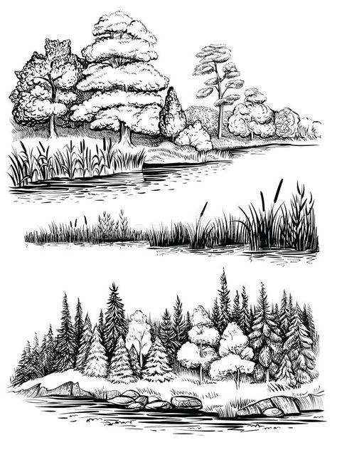 Trees and water reflection, vector illustration set. Landscape with forest, hand , #AFF, #vector, #illustration, #set, #Trees, #water #ad Tree Drawing Simple, Forest Sketch, Sketchy Style, Forest Drawing, Mountain Drawing, Water Reflection, Landscape Sketch, Water Reflections, Landscape Drawings