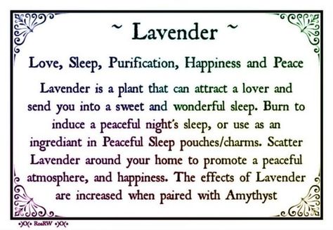 Lavender Thyme Properties, Magickal Herbs, Under Your Spell, Magical Herbs, Psychic Powers, Herbal Magic, Practical Magic, Healing Herbs, Planting Herbs