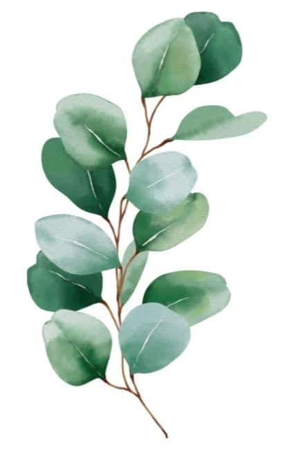 vert leafy brown stem Eucalyptus Illustration, Watercolour Leaf, Gallery Wall Printables, Modern Watercolor Art, Minimal Painting, Red And White Flowers, Watercolor Eucalyptus, Leaves Watercolor, Leaf Illustration