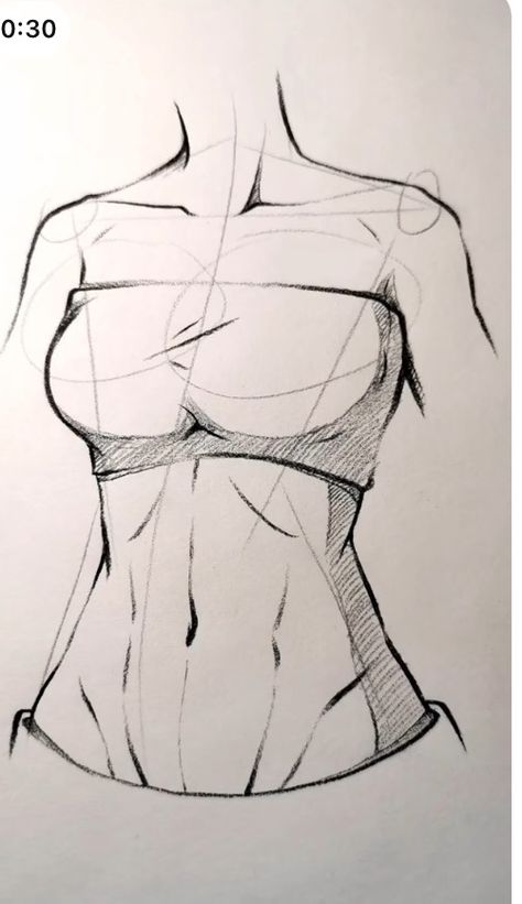 Female Anatomy Drawing Side Profile, Women Muscles Drawing, Turn Around Female Anatomy, Upper Body Reference Female, Torso Reference Woman, Female Stomach Reference, Different Female Body Types Drawing, Tank Top Drawing Reference Female, Female Body Sketch Tutorial