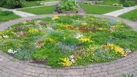 Myerscough College Kitchen Garden Tapestry Lawn Tapestry Lawn, Round Tapestry, Rain Gardens, Lawn Alternatives, First Haircut, Garden Whimsy, Garden Veggies, Backyard Paradise, Flowering Plants