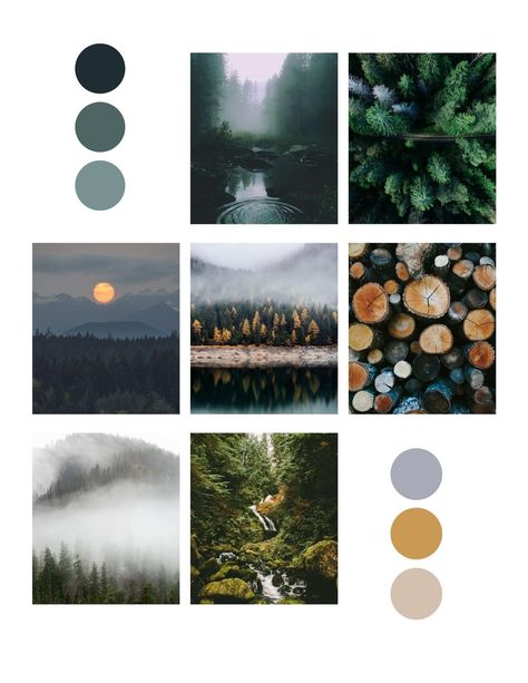 Calm, relaxing, earthy, and Pacific Northwest inspired mood board and color palette. The vibe we wanted to achieve was about trust, calm, friendliness, and peace.  #pacificnorthwest #pacific #northwest #usa #forest #britishcolumbia #mountains #mountain #hike #trees #tree #wood #rainy #whimsy #moodboard #colorpalette #branding Pnw Decor Pacific Northwest, Peaceful Mood Board, Pacific Northwest Bedroom Ideas, Lodge Mood Board, Modern Mountain Color Palette, Relaxing Mood Board, Peace Mood Board, Mountain Modern Color Palette, Mountains Mood Board