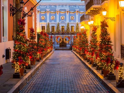 Even the greatest of Grinches has to admit: These 16 cities, with their sparkle and cheer, can make the heart grow three sizes larger. Christmas In Puerto Rico, Puerto Rican Christmas, Liz Lemon, Puerto Rico Vacation, Puerto Rican Culture, Vacation Photography, Blue Lights, Old San Juan, San Juan Puerto Rico