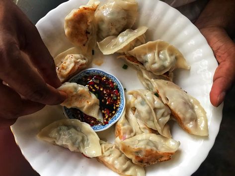 Chicken And Chive Dumplings, Fry Dumpling Recipe, Pan Fried Dumplings, Fried Dumplings, Dumpling Wrappers, Pan Fried Chicken, Dumpling Recipe, Pan Seared, Chicken And Dumplings