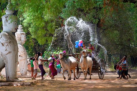 Water Festival Myanmar Design, Water Festival Myanmar Cartoon, Myanmar Water Festival, Myanmar Thingyan, Thingyan Festival, Boys Covering Face, Travel To Vietnam, Water Festival, Tourism Services