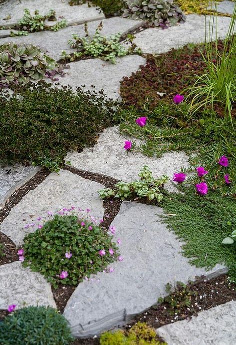 DIY Garden Paving Ideas To Make This Weekend Creekside Landscaping, Grassless Backyard, Front Yard Patio, Paving Ideas, Concrete Stepping Stones, Crazy Paving, Cement Garden, Courtyard Gardens Design, Garden Paving