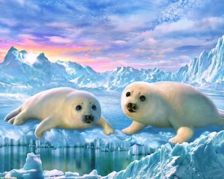 Seal Pups - Other Wallpaper ID 1526096 - Desktop Nexus Animals Seal Artwork, Harp Seal, Seal Pup, Arctic Animals, Animal Embroidery, Polar Bears, Cross Paintings, 5d Diamond Painting, 귀여운 동물