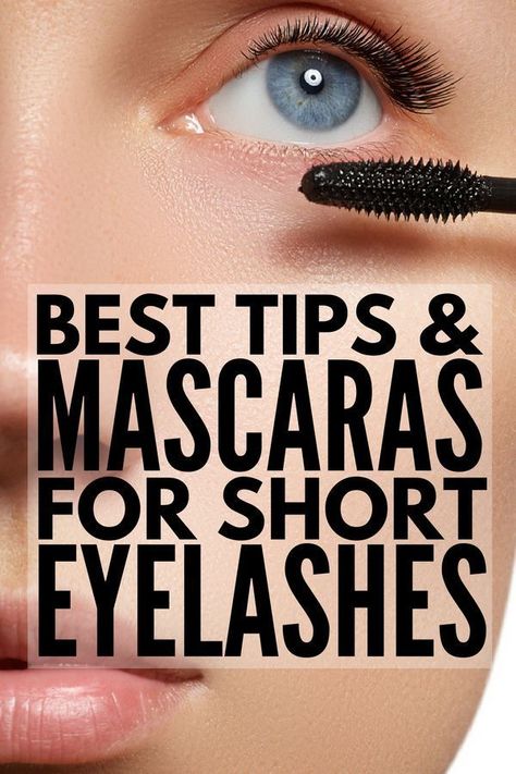 Best Mascara For Short Lashes, Mascara For Short Lashes, Grow Longer Eyelashes, Get Long Eyelashes, Make Up Diy, Eyeshadow Basics, The Best Mascara, Mascara Hacks, Cut Crease Eyeshadow