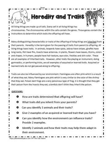 Read The Passage, Inherited Traits, Sequencing Worksheets, 2 Animals, 3rd Grade Science, Third Grade Science, Story Sequencing, Classroom Science, Science Units