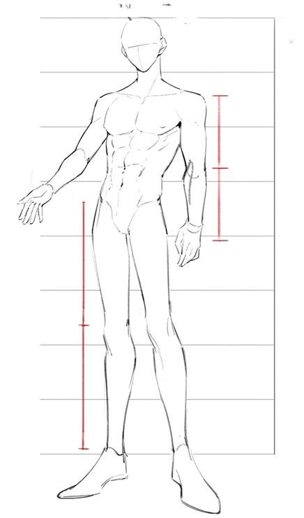 Incredible Drawings, Male Body Drawing, Male Art Reference, Body Type Drawing, Human Body Drawing, Anatomy Tutorial, Human Anatomy Drawing, Body Sketches, Body Drawing Tutorial