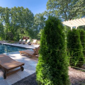 Privacy Trees Around Pool, Pool Landscaping Privacy Ideas, Pool Landscaping For Privacy, Privacy Landscaping Around Pool, Privacy Around Pool, Trees Around Pool, Pool Privacy Landscaping, Pool Privacy Ideas, Best Trees For Privacy